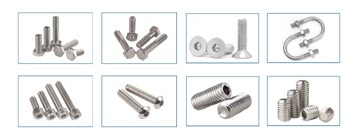 Stainless Steel Bolt